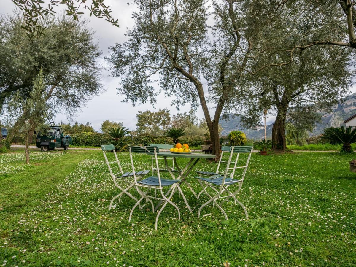 Villino Sally Sorrento Coast Piano di Sorrento Exteriér fotografie